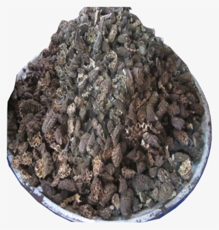 Https - //foodstuffnigeria - Com/product/dried-okra/ - Gravel