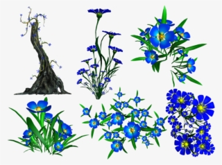 Forget Me Not Png Transparent Image - Portable Network Graphics