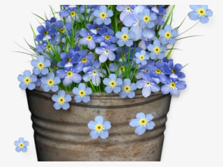 Forget Me Not Clipart Transparent - Png Forget Me Not Flower