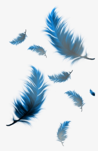 Feather