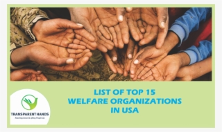 List Of Top 15 Welfare Organizations In The Usa - Ликвидация Нищеты И Голода