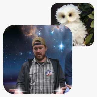 Chris Treter, Board Bird Twin - Real Cute Owls