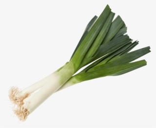 Leek Png, Download Png Image With Transparent Background, - Prei Transparent