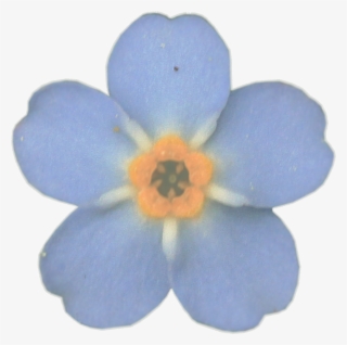 Cart £0 - 00 - Deviantart Luna Butterfly The Child