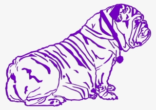 English Bulldog Puppies Litter 12/27/2017 - Dog