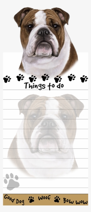 More Views - Notebook