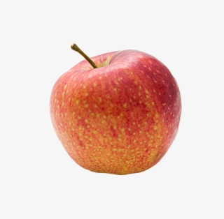 Apple Fruit Png Transparent Images - Apple Fruit
