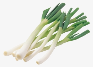 Scallion - 大葱 Png