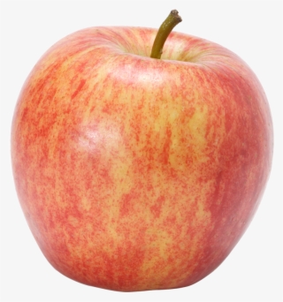 820 X 820 15 - Transparent Honeycrisp Apple