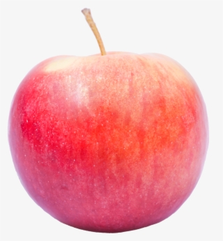 Clip Transparent Download Apple Varieties - Idared Png