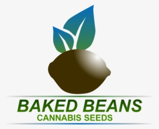 Bakedbeans Rough 300dpi Vector - Natural Foods