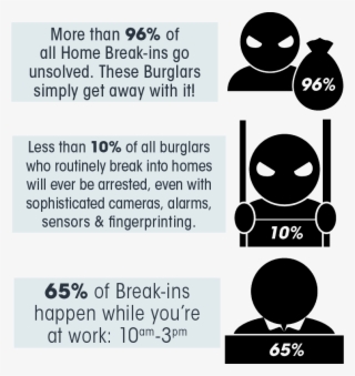 Burglary Infographic - Cartoon