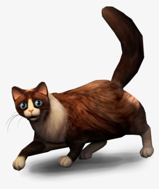 Cute Cats In Virtual Reality - Virtual Reality Pet Png