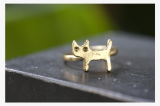 Paw
