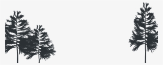 Trees - Christmas Tree