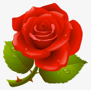 Download - Red Rose Vector Free
