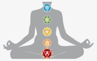 Harmonizing The Energy Body Chakra Anatomy Root Chakra - Third Eye Anatomy