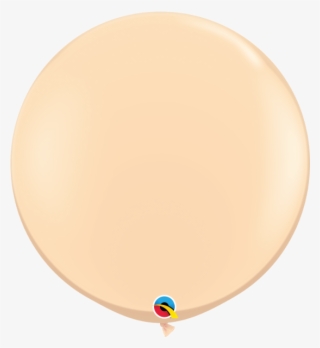 Fashion Blush - Circle