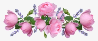 Roses, Pink, Flowers, Lavender, Arrangement - Garden Roses