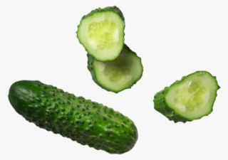 Cucumber - Spreewald Gherkins
