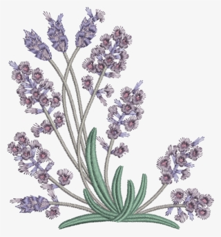 05 - Lavender - Embroidery Pattern Lavender Flowers