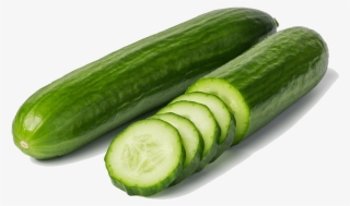 Cucumber