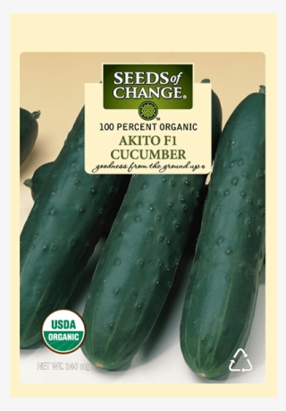 Organic Akito F-1 Slicing Cucumber Seeds - Seeds Of Change