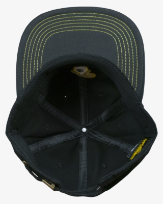 Birdhouse Chicago Flat Brim Dad