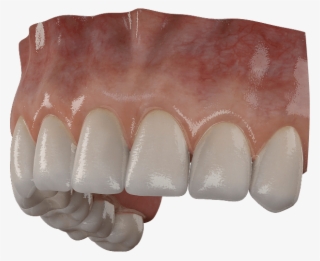 3d Teeth Data Sheet - 3d Teeth