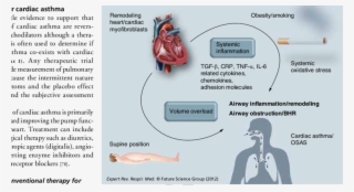 Components Of Airway Obstruction In Congestive Heart - Smoking Congestive Heart Failure