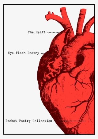The Heart Pocket Poetry Collection - Heart Shape In Our Body