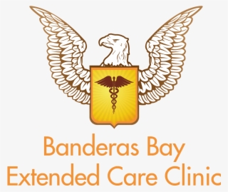 Banderas Bay Extended Care Clinic -sayulita, Nayarit - United States Eagle Vector