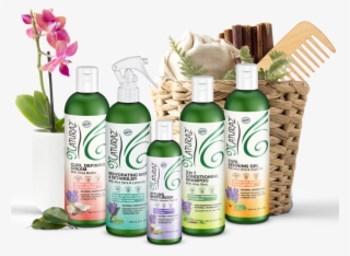 Naturaz Hair Bundle - Hairstyling Product