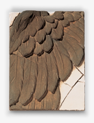 Forgot Password - Sea Eagle