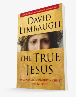 Jesus On Trial 3d Book - Book Cover