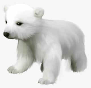 Free Png Download Cute Small Polar Bear Png Images - Cute Polar Bear Transparent