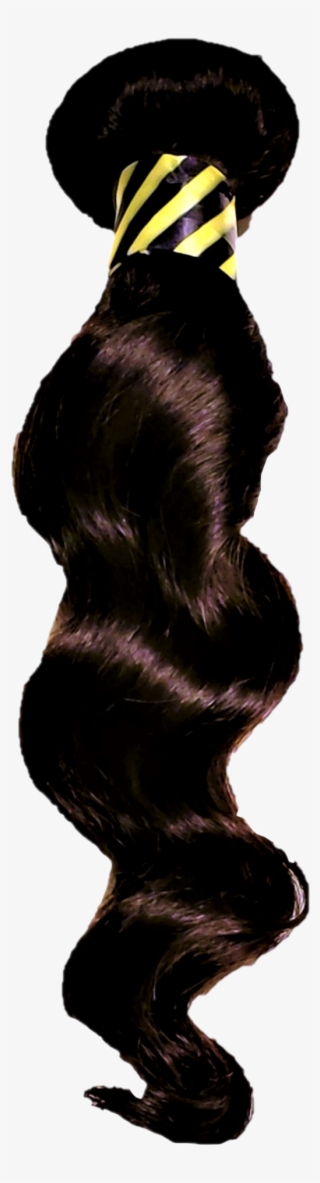 Coilspring - Lace Wig