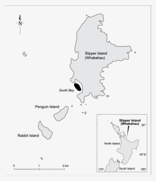 Of Slipper Island On The Coromandel Showing - Diagram