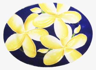 15" Rim Oval Plumeria - Frangipani