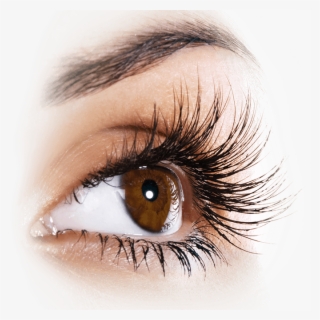 Grow Eyelashes Up To - Strong Eyelashes