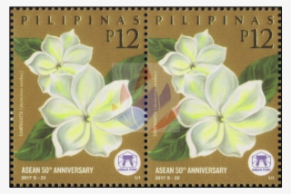 Sampaguita Philippine National Flower