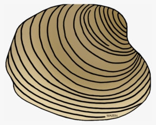 Shell Clipart Phillip Martin