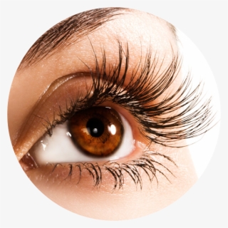 There Is A $20 Non-refundable Deposit Required Upon - Parts Of Body Eye