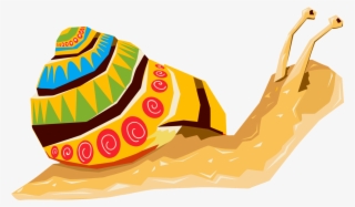 All Photo Png Clipart - Illustration