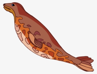 Harbor Seal Clipart 1