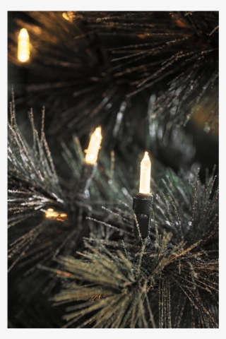 Led Light-set With 80 Bulbs - Kerstverlichting Kerstboom Binnen