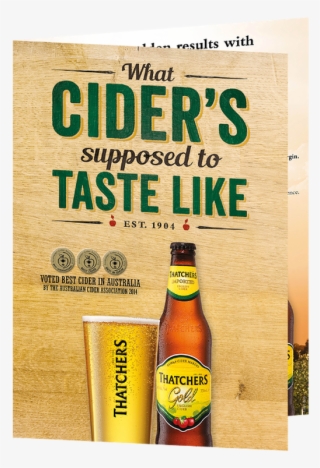 11007 Thatchers Trade Presenter With 330ml 2 - Thatchers Gold