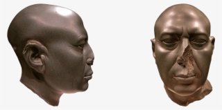 Since The Human Nose Is The Main External Respiratory - Missing Nose