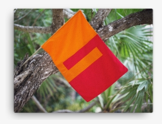 Intentions Change Reality - Flag