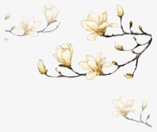 Decorative Corner Flowers Hand-painted Free Png Hq - Magnolia White Watercolor Flowers Png